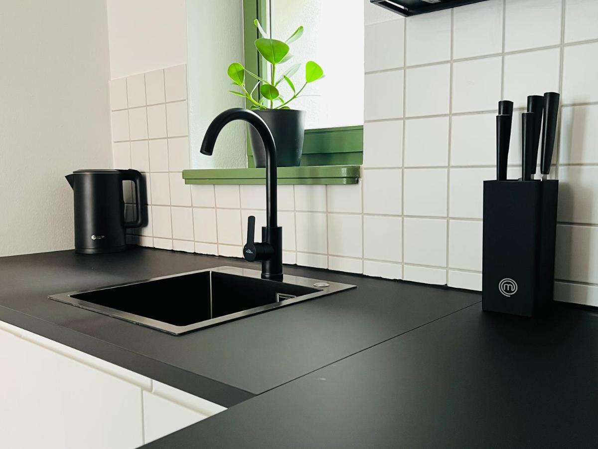 Hip & Minimalist - Stadt Apartments Am Malerweg Pirna Luaran gambar